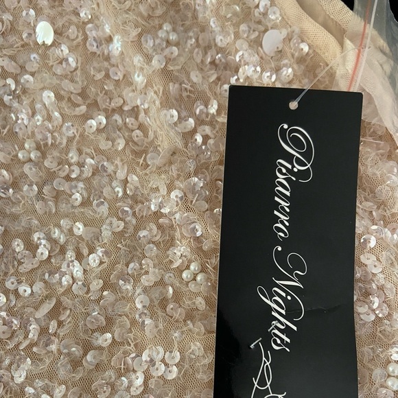 NWT Pissaro Nights Sequin Bodice Gown Dress Blush - Picture 8 of 8